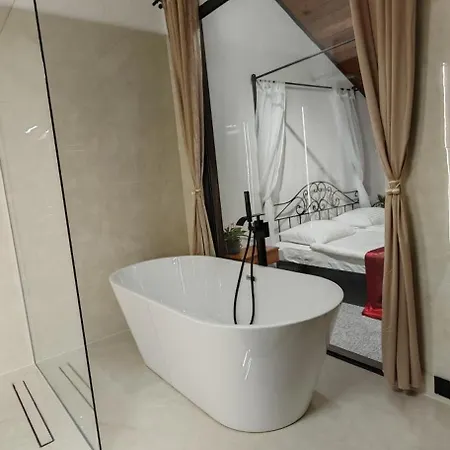 Hotel Plzensky Dvur Frydek-Mistek