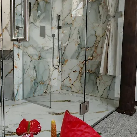 Hotel Plzensky Dvur Frýdek-Místek