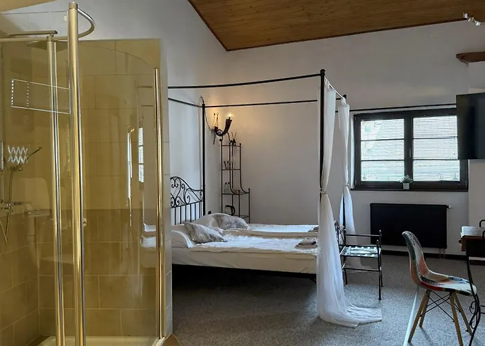 Plzensky Dvur Hotel Frýdek-Místek